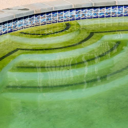 Swimming Pool Inspection